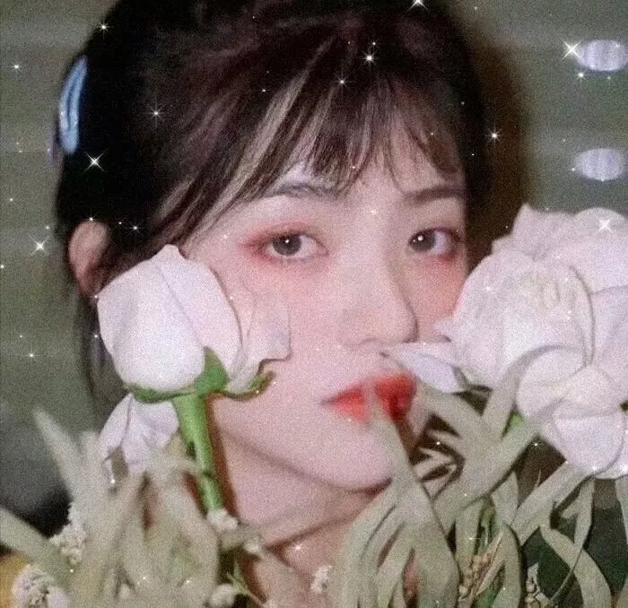 九龙皇后